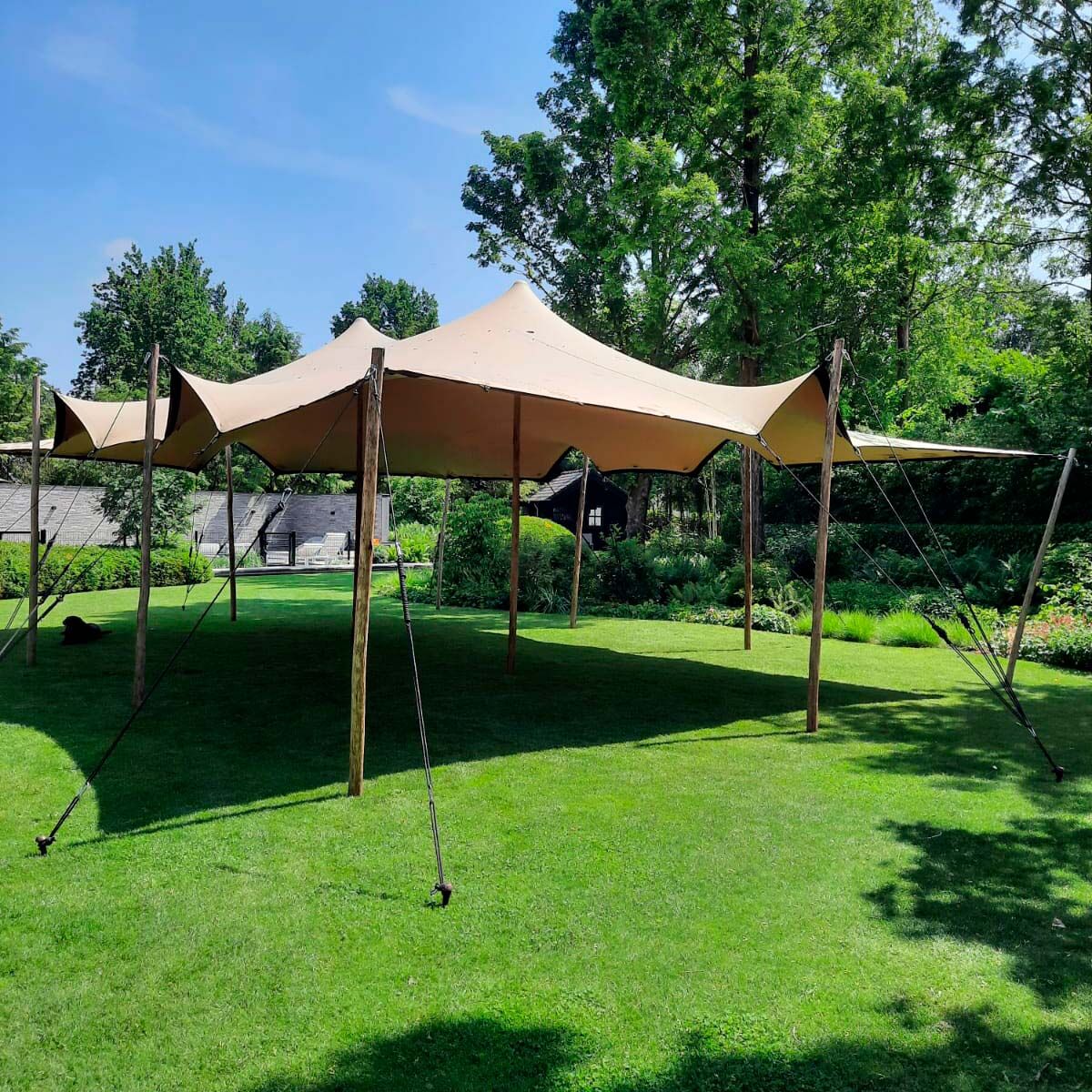Stretch Tent - 7,5x10,5m duk - Komplett