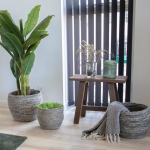 Teakbänk i återvunnen teak