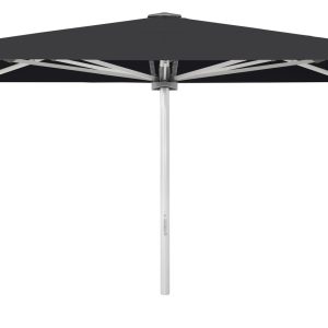 Palazzo Style 350x250cm m/frisekant