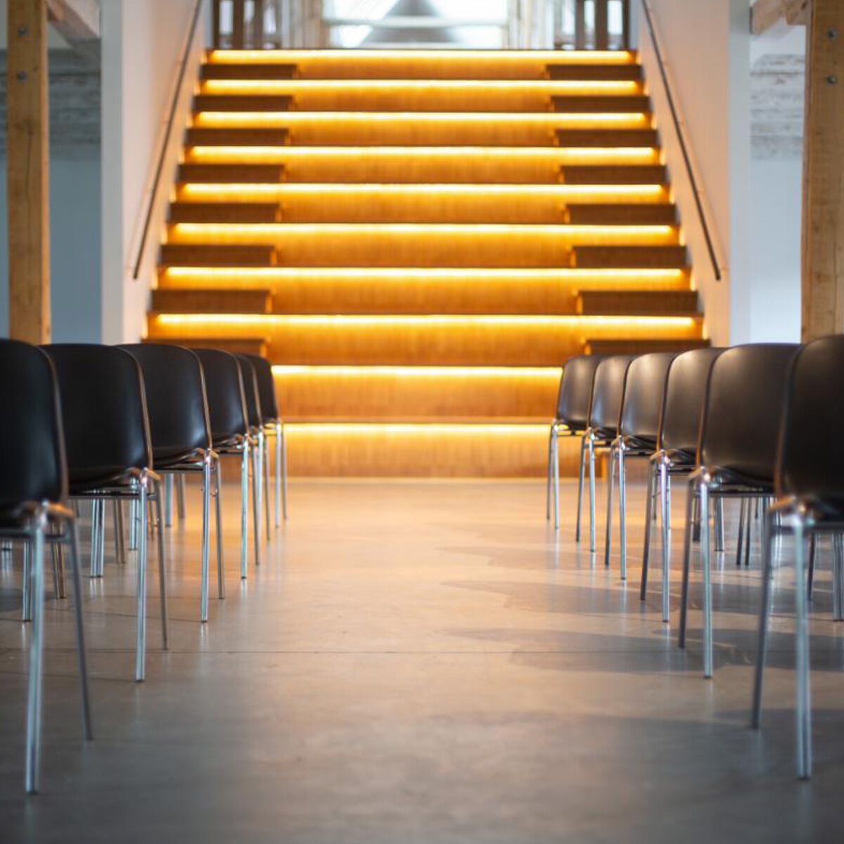 Bertram ekonomi svart