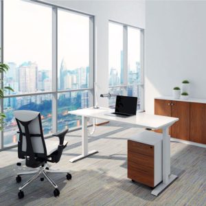 EASY Hæve/Sænkebord m/1 motor 120x80cm