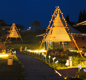 bubbletents category