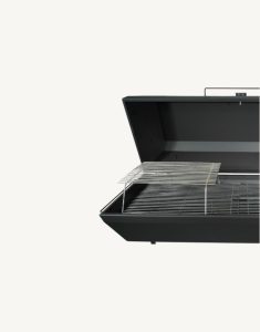 bubbletents category