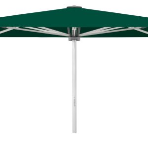 Palazzo Style 450x350cm m/frisekant