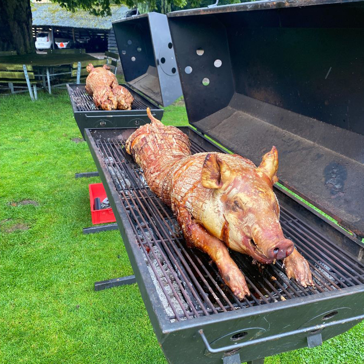 Grill för spädgris - Guide för att välja rätt för proffs